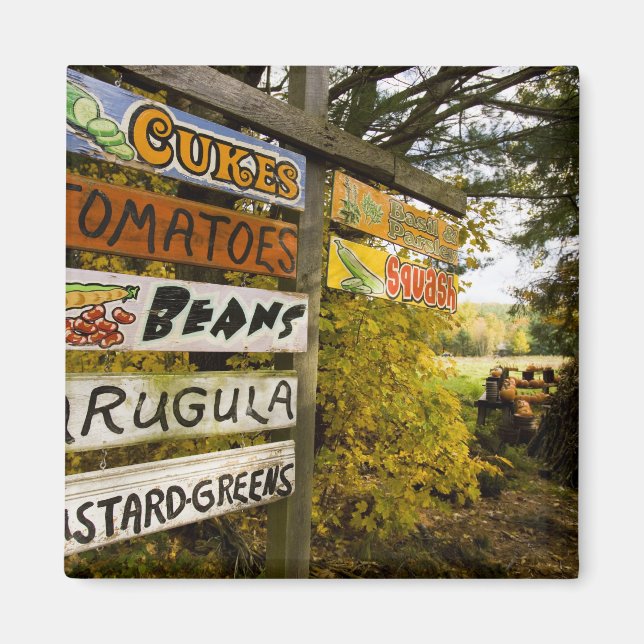 En gårdsstånd i Holderness, New Hampshire. Magnet (Framsidan)