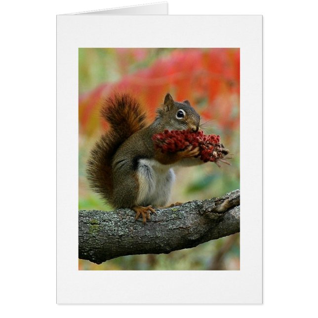 En gåva till dig hälsningskort (Framsidan)
