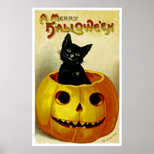 En glad Halloween kattunge Poster
