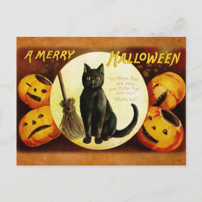 En glada Halloween från den svart katten Helg Vykort (Framsida)