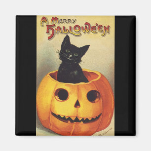 En glada Halloween svart katt för vintage i pumpa Magnet