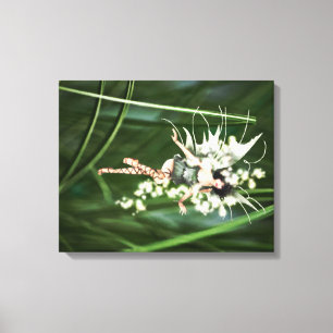 En glöd i Garden Wrapped Canvas