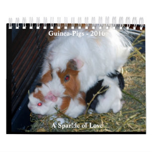 En gnistra av kärlek kalender