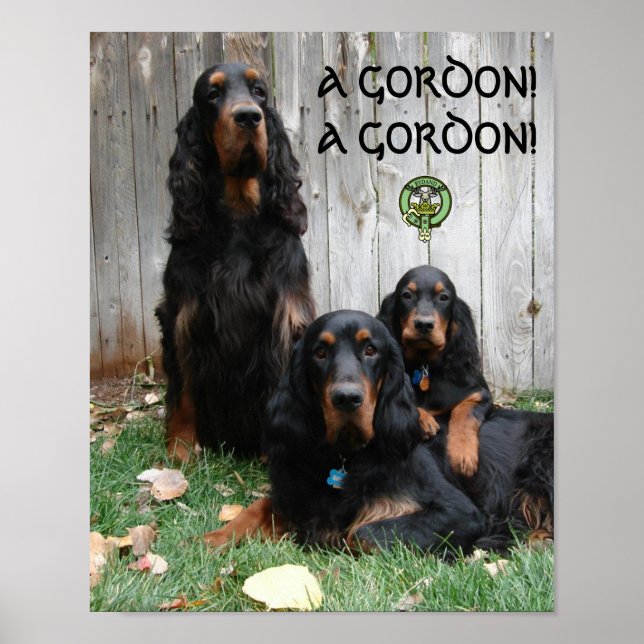 EN GORDON! EN GORDON! Gordon Setter Poster (Framsidan)