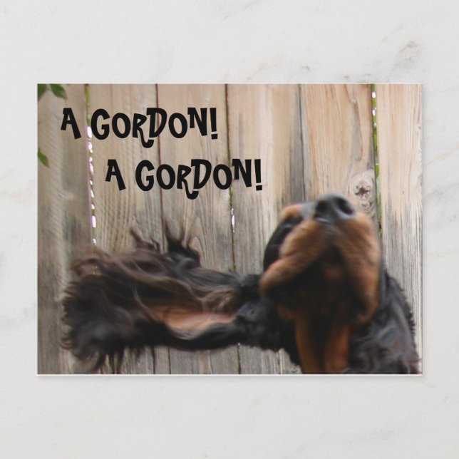 EN GORDON! Gordon Setter-vykort! Vykort (Framsida)