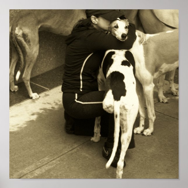 en greyhound med tre ben poster (Framsidan)