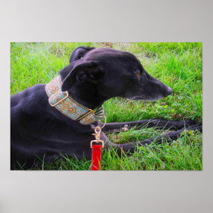 En Greyhounds-lugn Poster