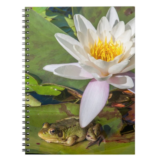 En groda under en näckrosblomma anteckningsbok med spiral (Framsidan)