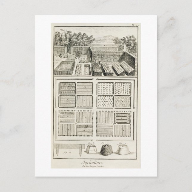 En grönsaksodling från "The Encyclopedia of Scie" Vykort (Framsida)