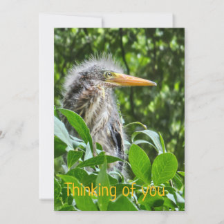 En grönt. Att tänka på dig Inbjudningar