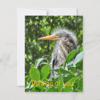 En grönt. Att tänka på dig Vykort