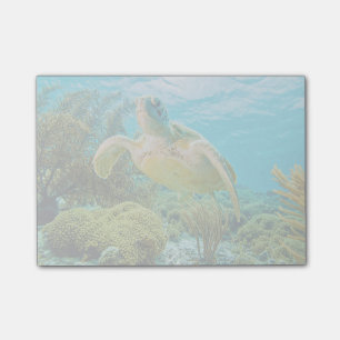En Grönt turtle på Bonaires grunda rev Post-it Block