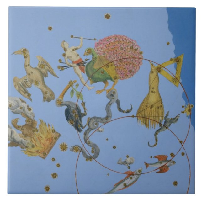 En grupp av konstellationer från "Uranometria" vid Kakelplatta (Framsidan)