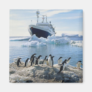 En grupp av pingvin som står på en isigstrand magnet