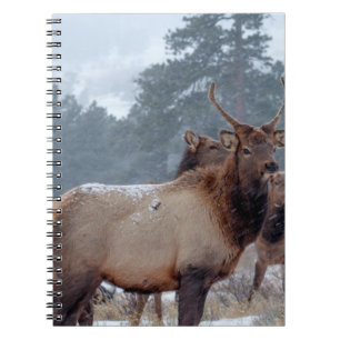 EN GRUPP DERAR ANTECKNINGSBOK