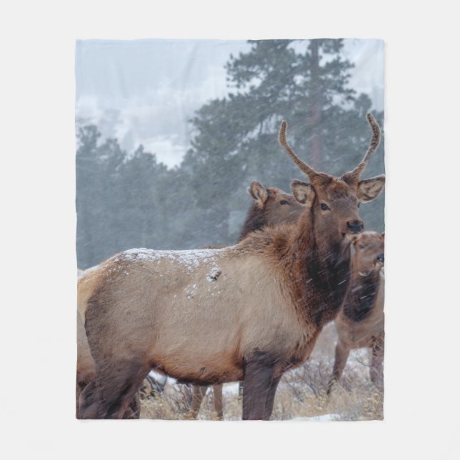 EN GRUPP DERAR FLEECEFILT (Framsidan)