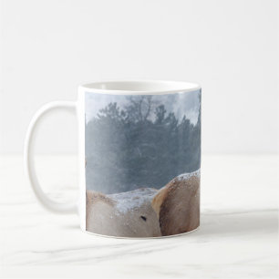 EN GRUPP DERAR KAFFEMUGG