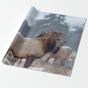 EN GRUPP DERAR PRESENTPAPPER