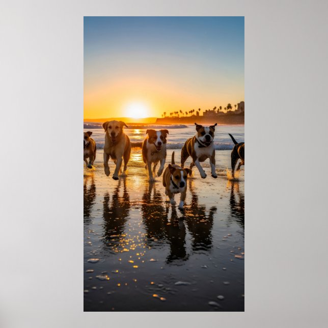 En grupp hundar chase och stänk poster (Framsidan)