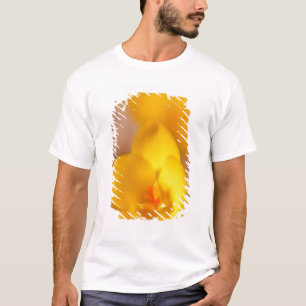 En gul krokus blommar i Portsmouth, New T Shirt