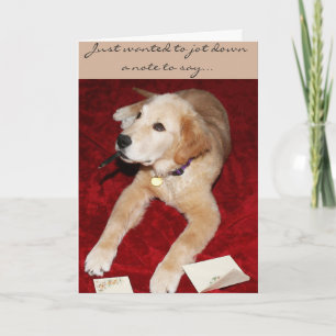 En guldskriven anteckning som säger att jag är led kort