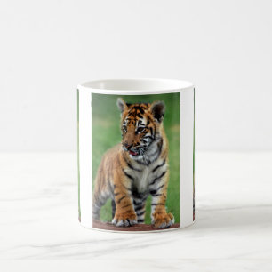 En gullig bebistiger kaffemugg