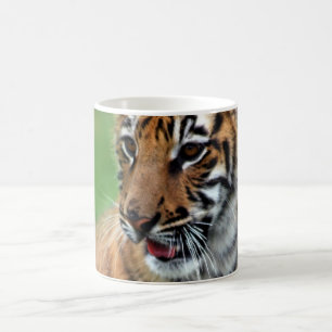 En gullig bebistiger kaffemugg