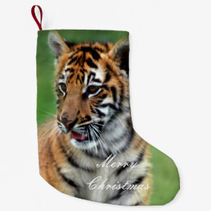 En gullig bebistiger liten julstrumpa