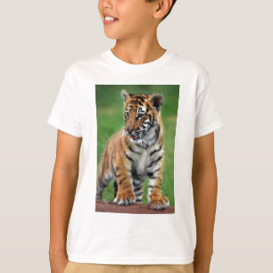 En gullig bebistiger tee