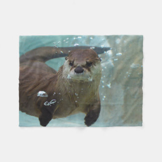 En gullig brun uttersimning i en klar blåttbassäng fleecefilt
