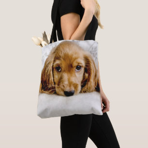 En gullig cockerspanielSpaniel Tygkasse