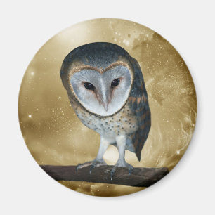 En gullig lite ladugårdugglafantasi magnet