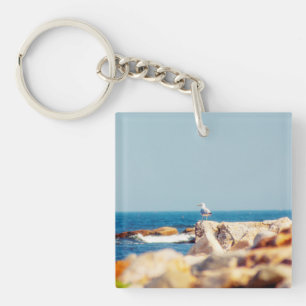 En Gulls inlägg