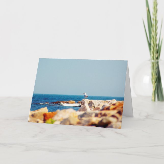 En Gulls inlägg Kort (Framsida)