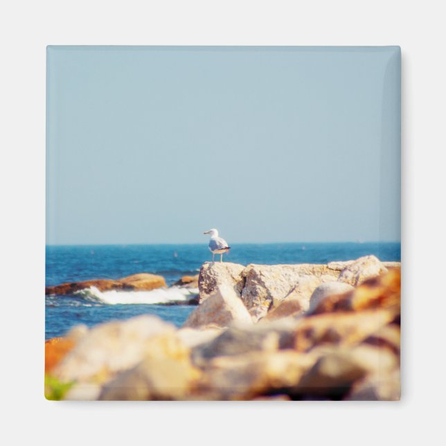 En Gulls inlägg Magnet (Framsidan)