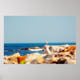 En Gulls inlägg Poster