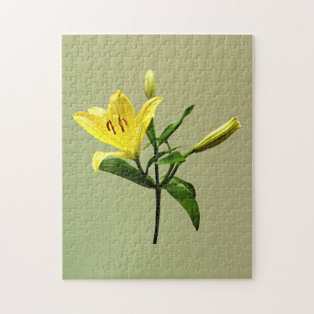 En Gult Lily Pussel (Vertikal)