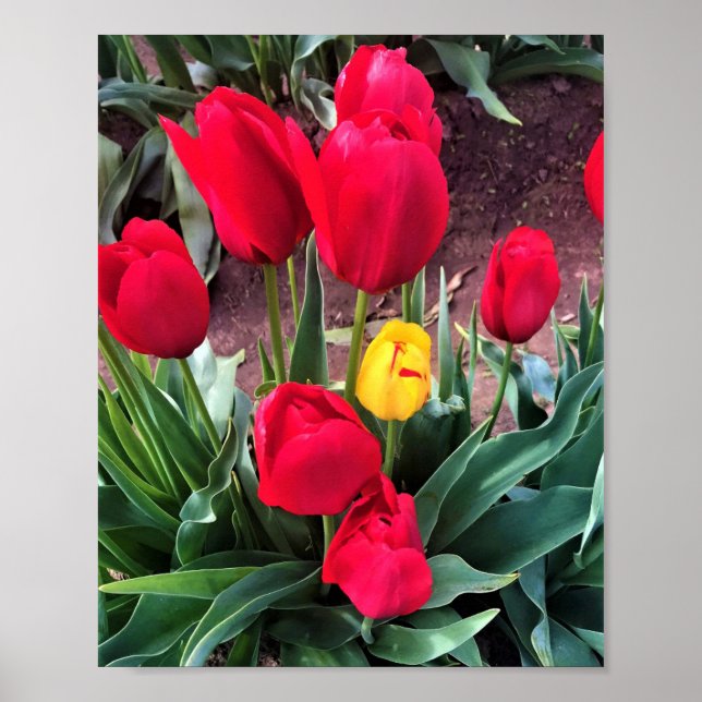 En Gult med Röda droppar Poster (Framsidan)
