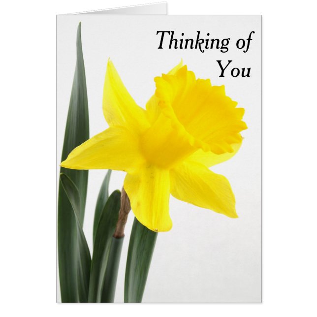 En Gult Narcissus Daffodil Hälsningskort (Framsidan)