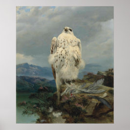 En Gyrfalkon i ett vidsträckt bergslandskap Poster