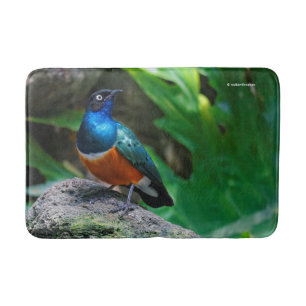 En häftig afrikansk superb Starling Badrumsmatta