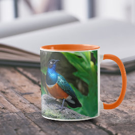 En häftig afrikansk superb Starling Songbird Mugg