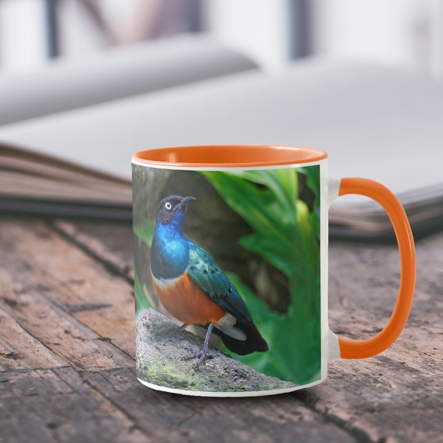 En häftig afrikansk superb Starling Songbird Mugg (Stunning African Superb Starling on the Rock 11 oz Coffee Mug Cover Photo.)