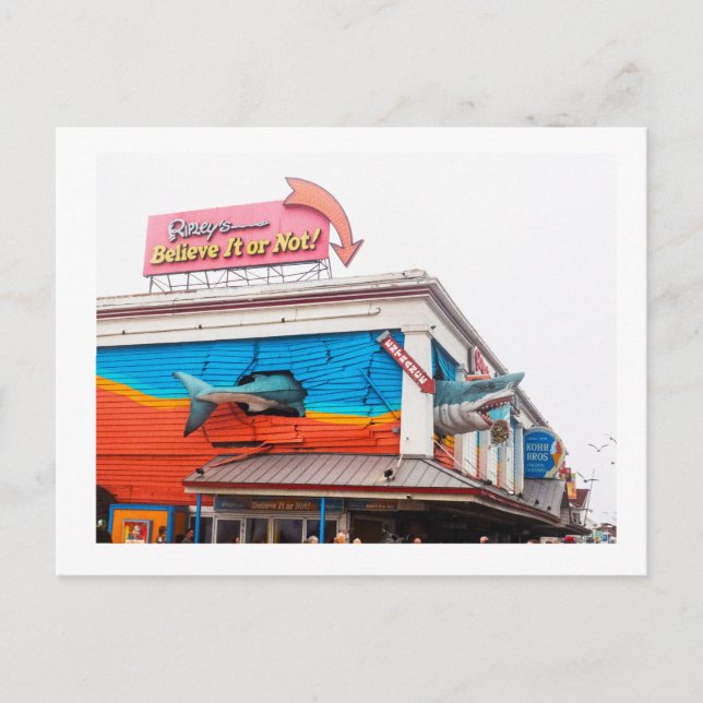 En haj vykort (Framsida)