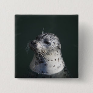 En hamn förseglar knapp