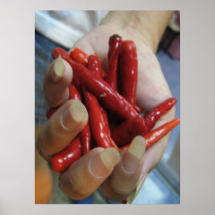 En Handfull Chili ... Thai Street Food Poster