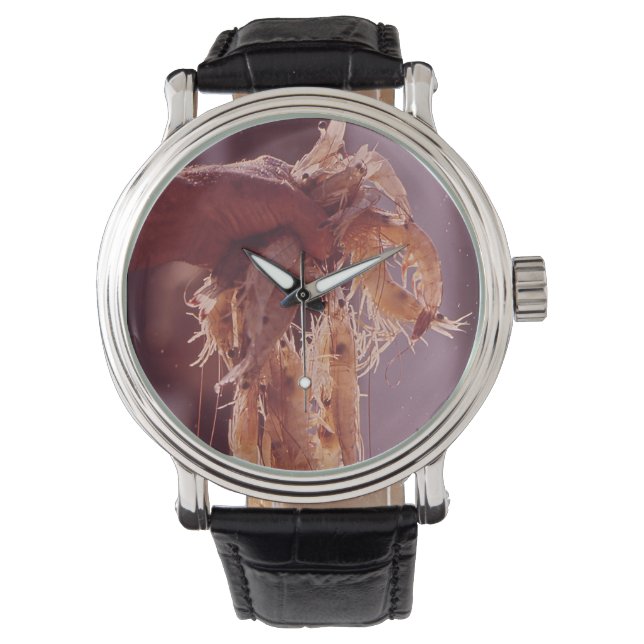 En handfull räkor armbandsur (Framsida)