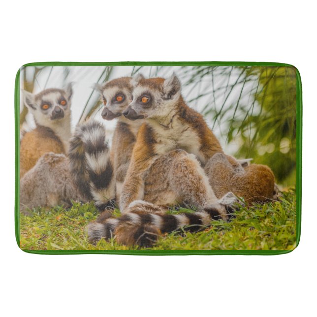 en hanlemur kramar sin hona på badrumsmatt badrumsmatta (Framsidan)
