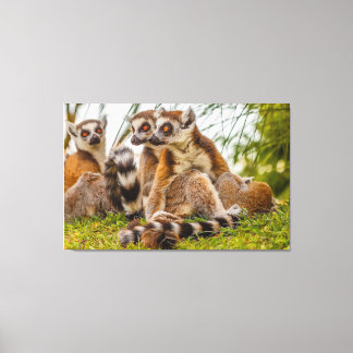 en hanlemur kramar sin hona på sträckt duk canvastryck