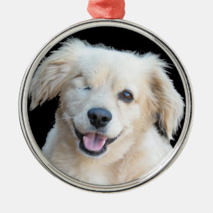En härlig en synad hund julgransprydnad metall